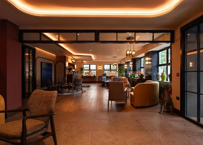 The Address Sligo